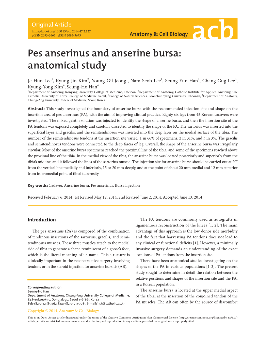 Pes Anserinus and Anserine Bursa: Anatomical Study