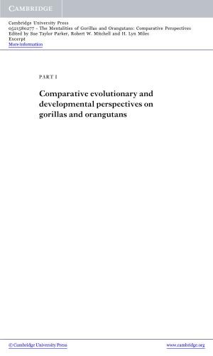 Comparative Evolutionary and Developmental Perspectives on Gorillas and Orangutans