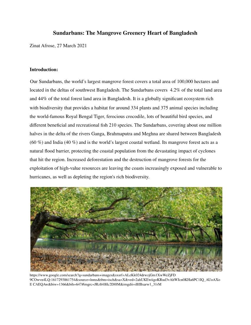 Report on Sundarbans