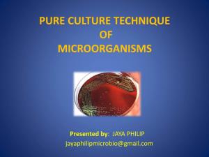 Pure Culture Technique of Microorganisms