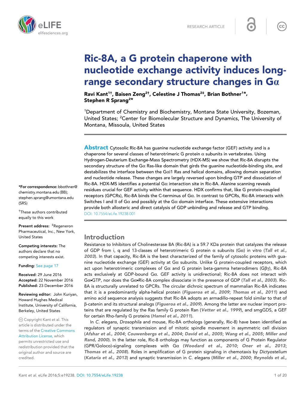 Ric-8A, a G Protein Chaperone with Nucleotide Exchange Activity