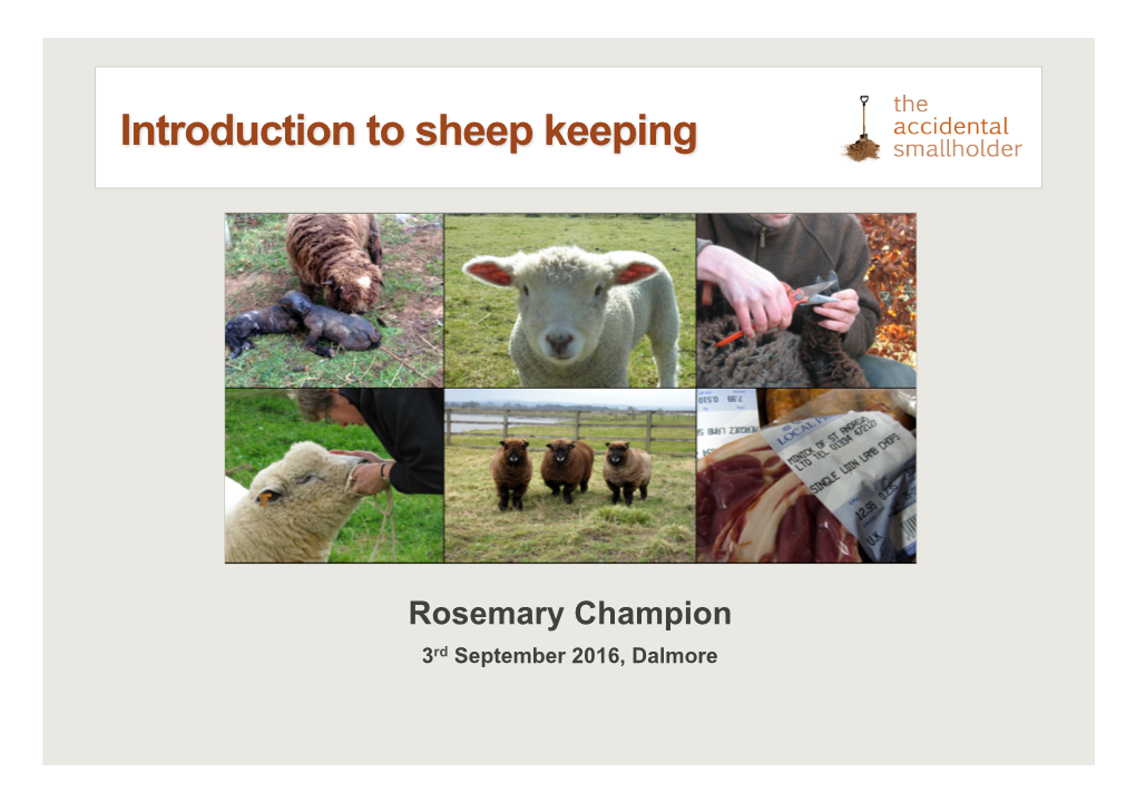 Introduction to Sheep Keeping