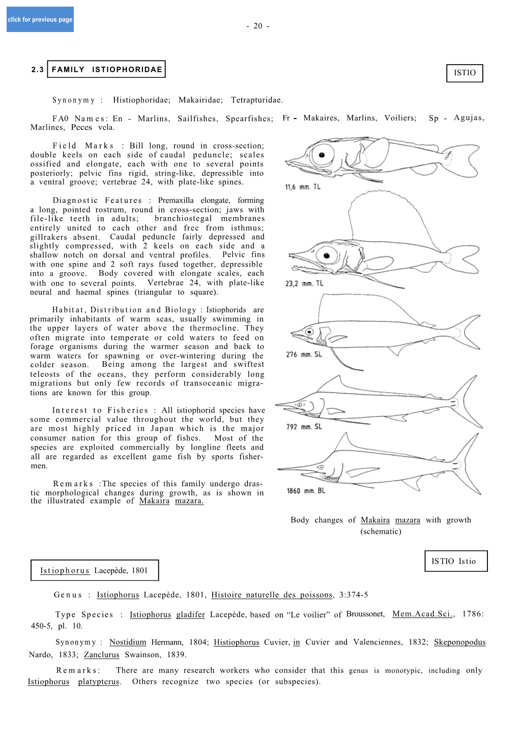 Makairidae; Tetrapturidae. FA0 Names