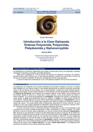 Introducción a La Clase Diplopoda. Órdenes Polyxenida, Polyzoniida, Platydesmida Y Siphonocryptida