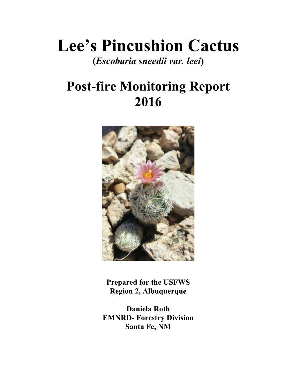 Lee's Pincushion Cactus