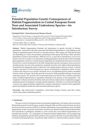 Potential Population Genetic Consequences of Habitat Fragmentation in Central European Forest Trees and Associated Understorey Species—An Introductory Survey