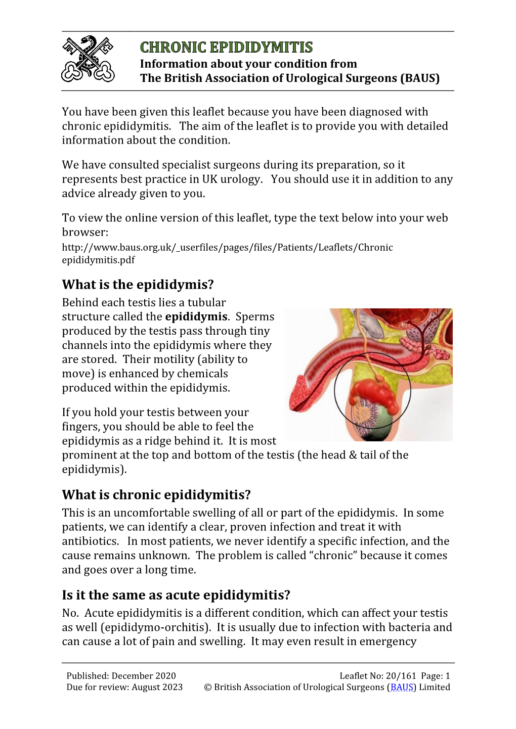 What Is Chronic Epididymitis? This Is an Uncomfortable Swelling of All Or Part of the Epididymis