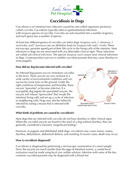 Coccidiosis in Dogs Coccidiosis Is an Intestinal Tract Infection Caused by One-Celled Organisms (Protozoa) Called Coccidia