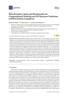 Bioinformatics Tools and Benchmarks for Computational Docking and 3D Structure Prediction of RNA-Protein Complexes