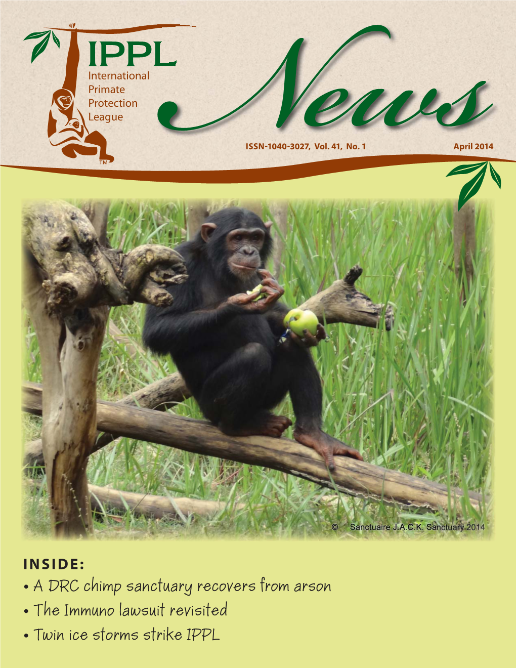 • a DRC Chimp Sanctuary Recovers from Arson • the Immuno Lawsuit