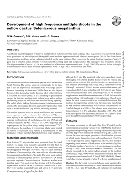 Development of High Frequency Multiple Shoots in the Yellow Cactus, Selenicereus Megalanthus