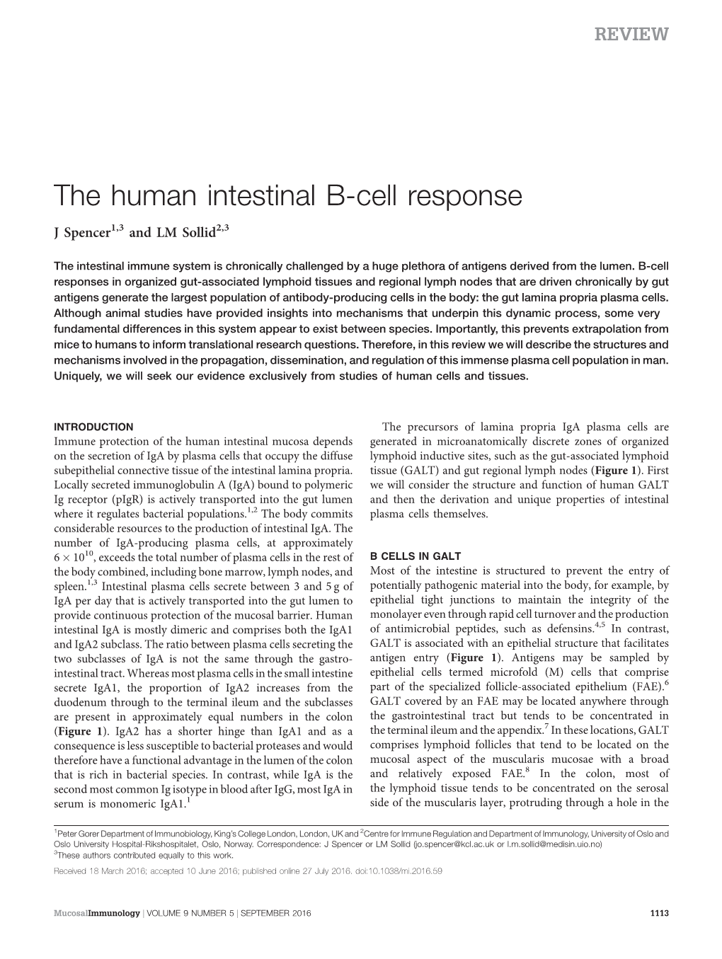 The Human Intestinal B-Cell Response