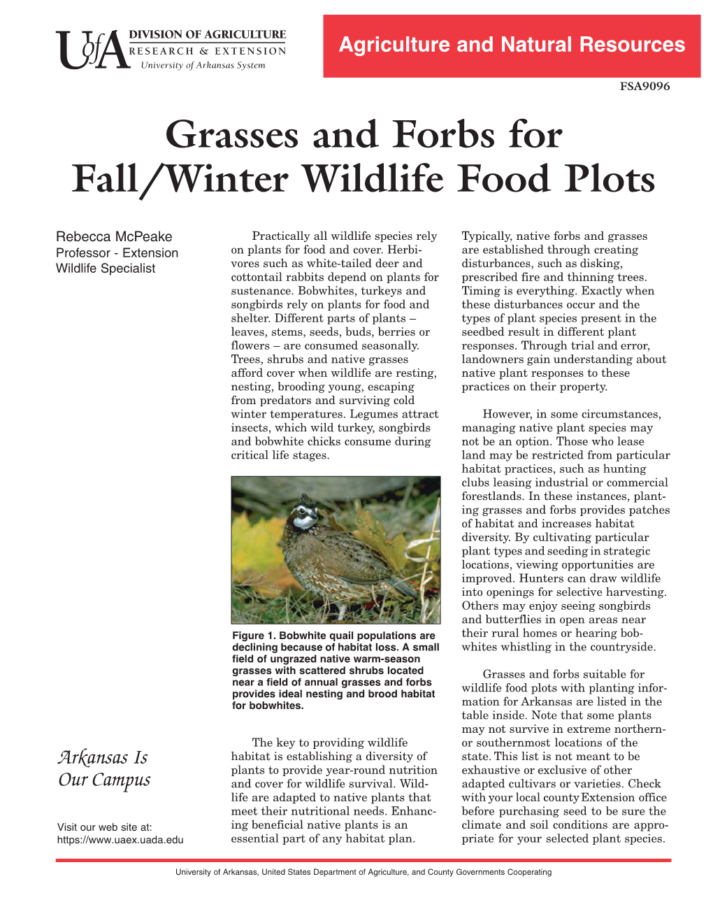 Grasses and Forbs for Wildlife