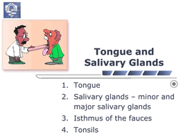 Tongue and Salivary Glands