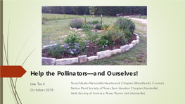 Help the Pollinators—And Ourselves!
