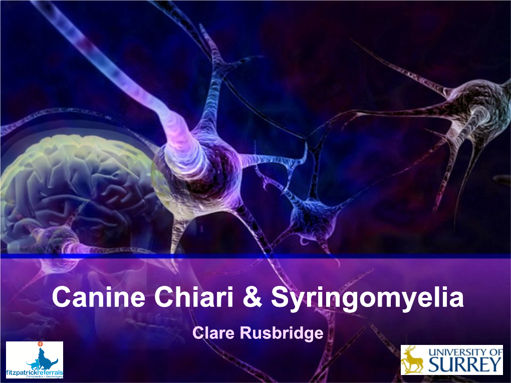 Canine Chiari & Syringomyelia