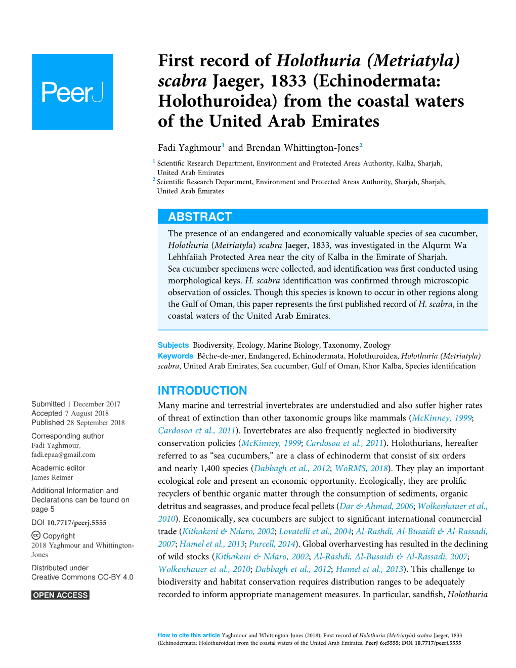 First Record of Holothuria (Metriatyla) Scabra Jaeger, 1833 (Echinodermata: Holothuroidea) from the Coastal Waters of the United Arab Emirates