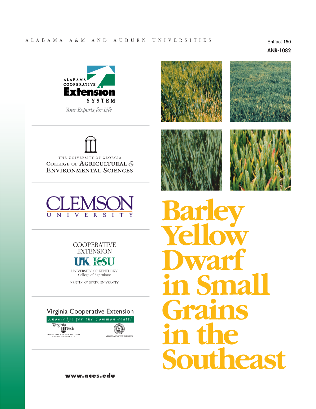 Barley Yellow Dwarf in Small Grains in the Southeast (PDF)