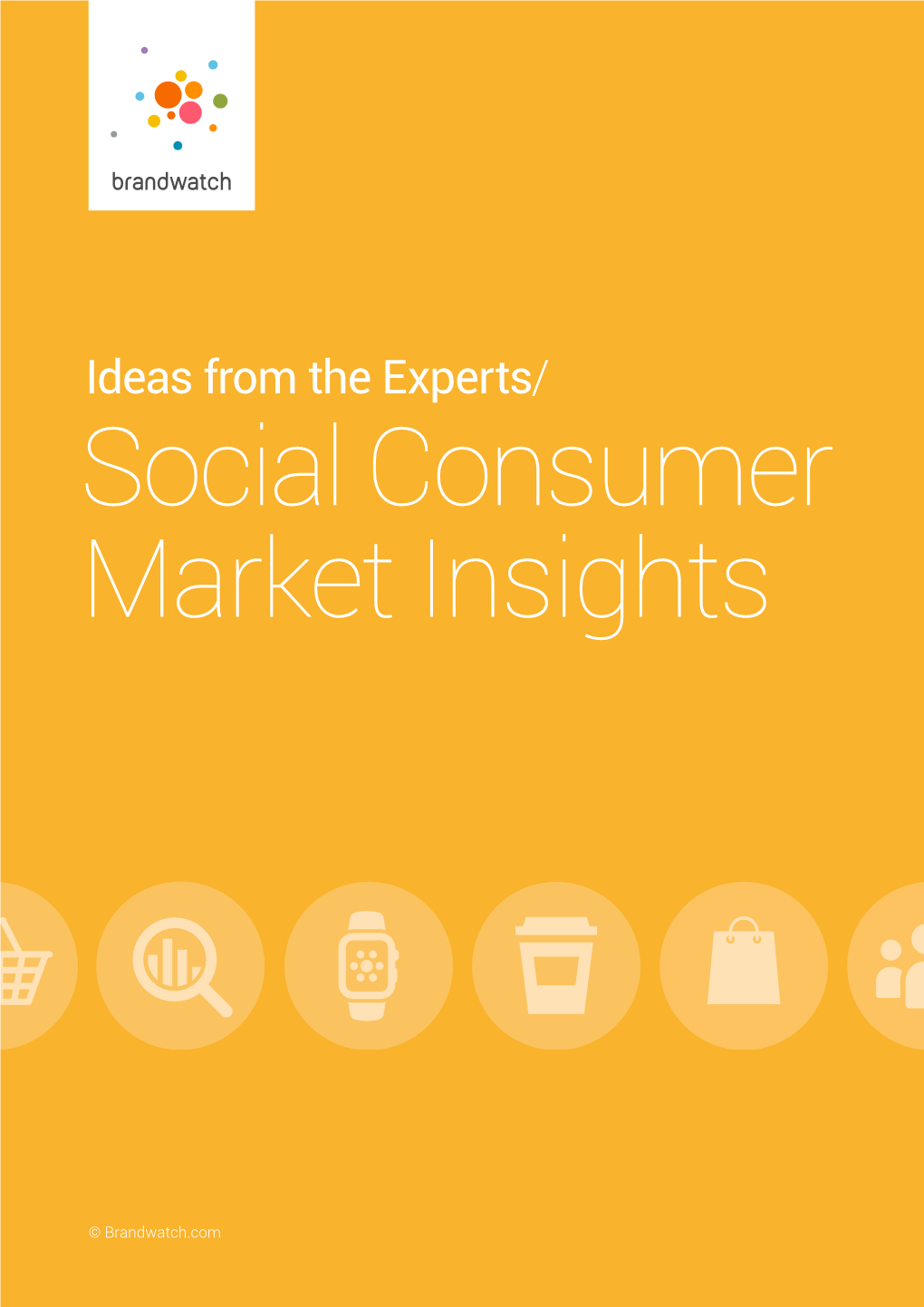 Ideas from the Experts/ Social Consumer Market Insights