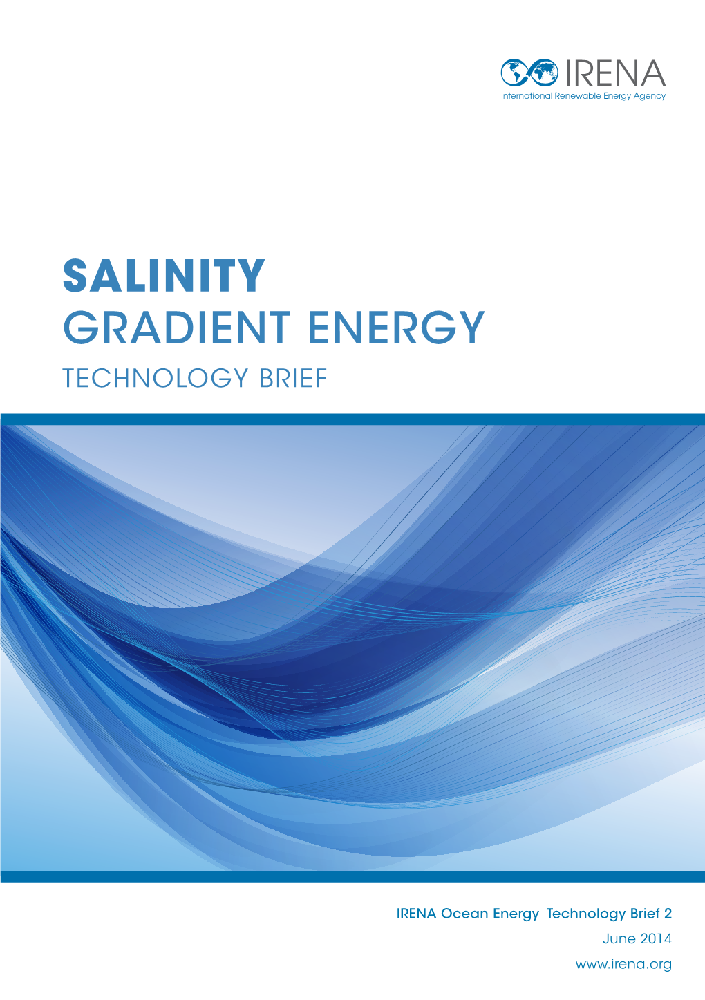 Salinity Gradient Energy Technology Brief