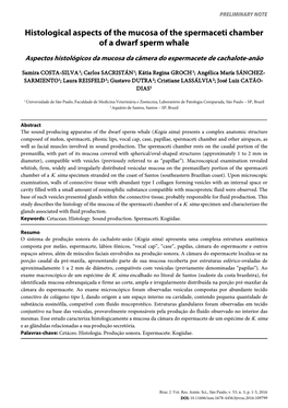 Histological Aspects of the Mucosa of the Spermaceti Chamber of a Dwarf Sperm Whale