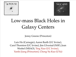 Low-Mass Black Holes in Galaxy Centers