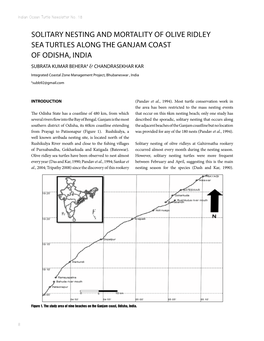 Solitary Nesting and Mortality of Olive Ridley