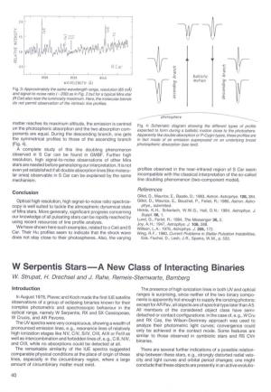 W Serpentis Stars-A New Class of Interacting Binaries W