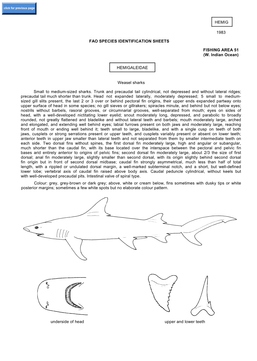 Hemig 1983 Fao Species Identification Sheets