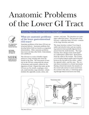 Anatomic Problems of the Lower GI Tract