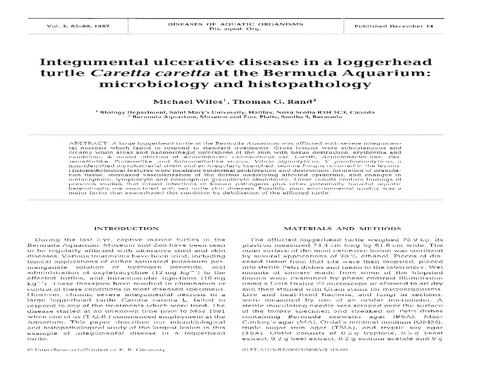 Integumental Ulcerative Disease in a Loggerhead Turtle Caretta Caretta at the Bermuda Aquarium: Microbiology and Histopathology