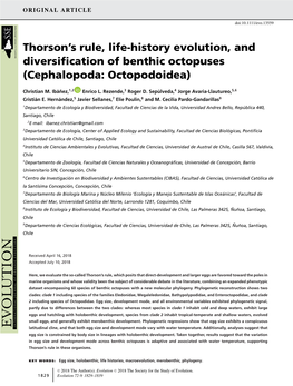 History Evolution, and Diversification of Benthic Octopuses