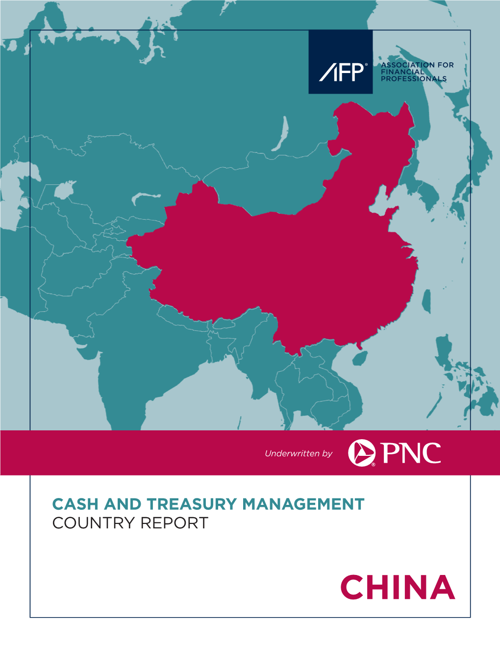 Cash and Treasury Management Country Report