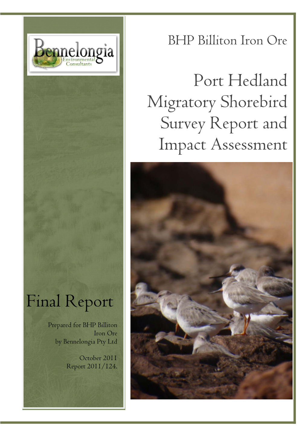 Port Hedland Shorebird Assessment