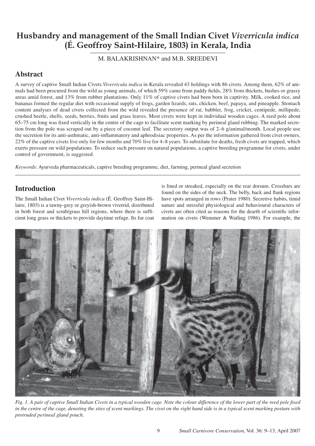 Husbandry and Management of the Small Indian Civet Viverricula Indica (É