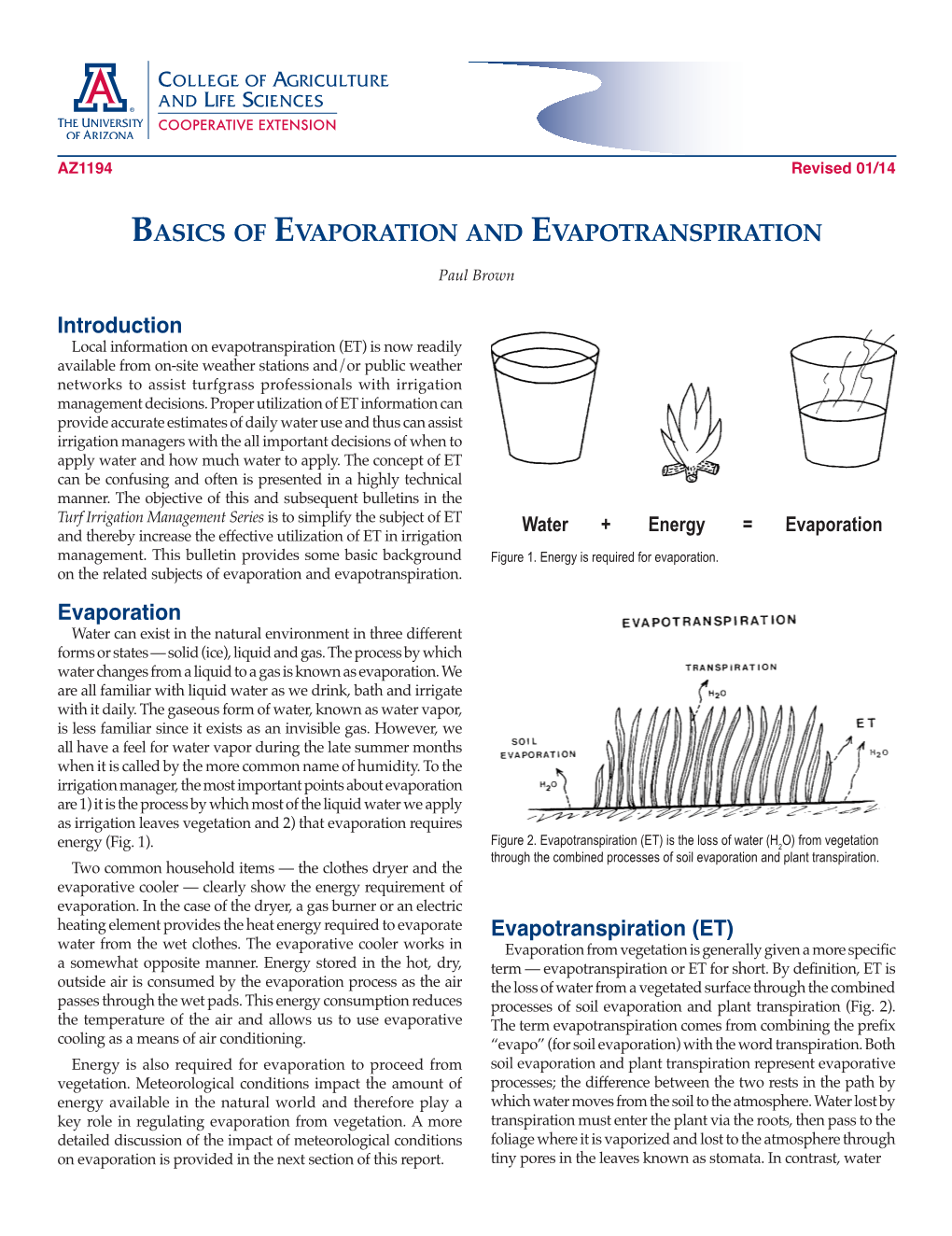 Basics of Evaporation and Evapotranspiration Paul Brown
