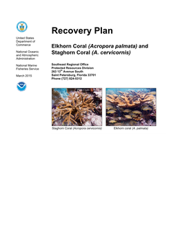 Acropora Recovery Plan