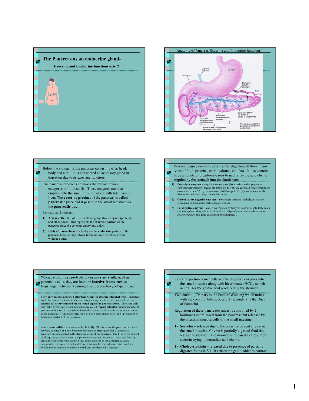 The Pancreas As an Endocrine Gland- Exocrine and Endocrine Functions Exist!!