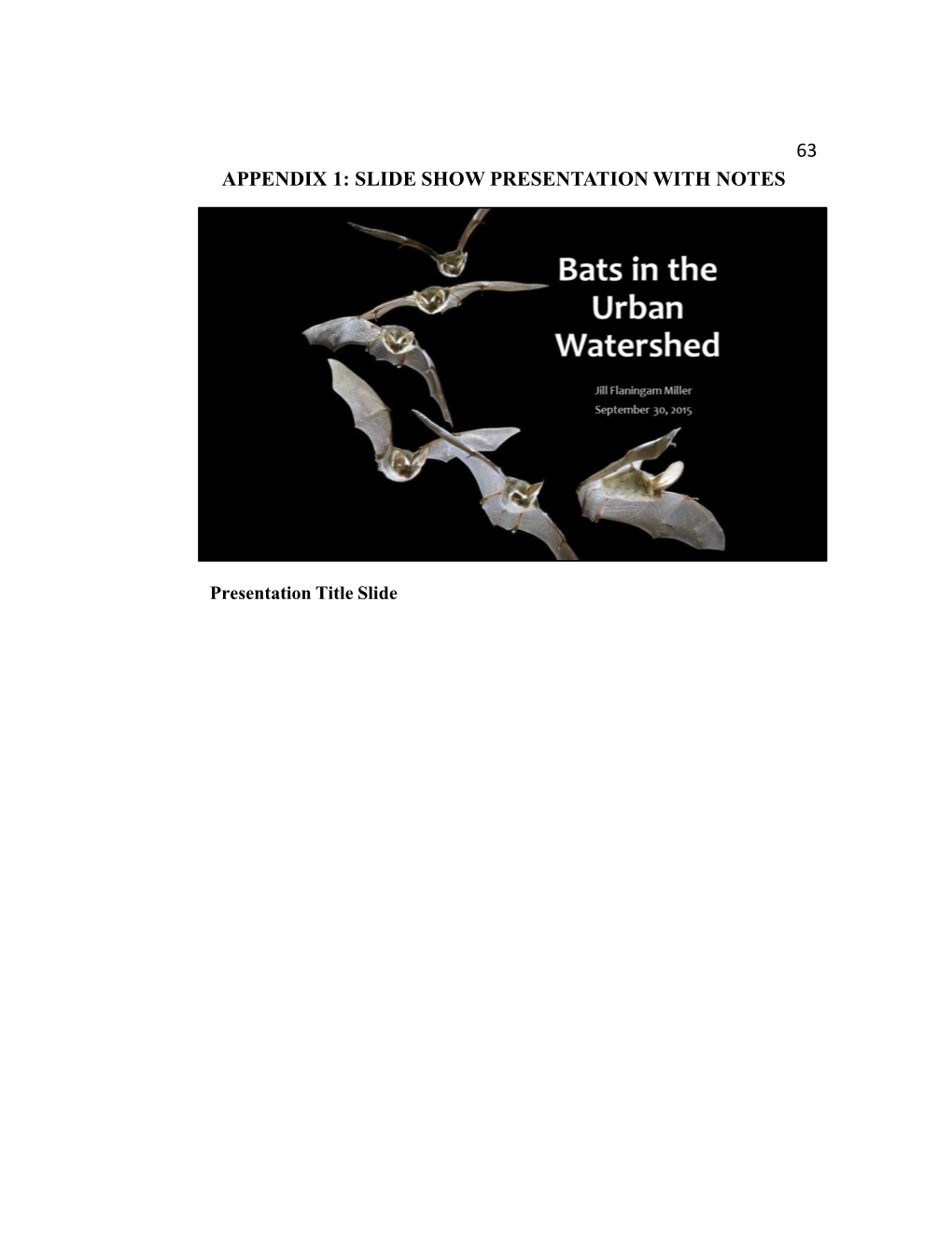 Bats in the Urban Watershed