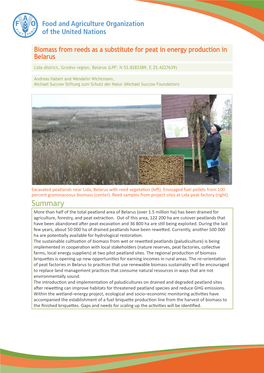 Biomass from Reeds As a Substitute for Peat in Energy Production in Belarus