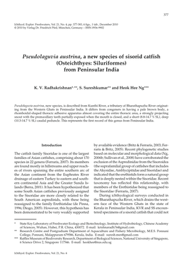 Pseudolaguvia Austrina, a New Species of Sisorid Catfish (Osteichthyes: Siluriformes) from Peninsular India