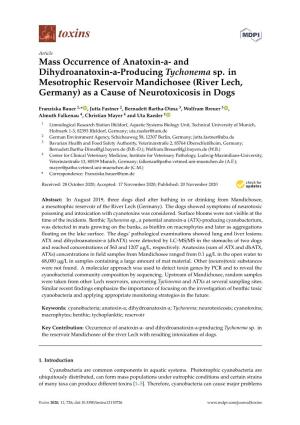 Mass Occurrence of Anatoxin-A- and Dihydroanatoxin-A-Producing Tychonema Sp