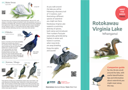 Rotokawau Virginia Lake from Captive Birds