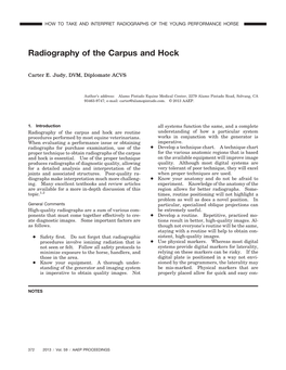Radiography of the Carpus and Hock