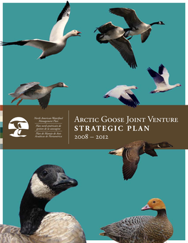 Arctic Goose Joint Venture STRATEGIC PLAN 2008 – 2012