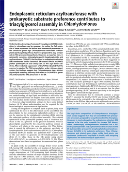 Endoplasmic Reticulum Acyltransferase with Prokaryotic Substrate Preference Contributes to Triacylglycerol Assembly in Chlamydomonas