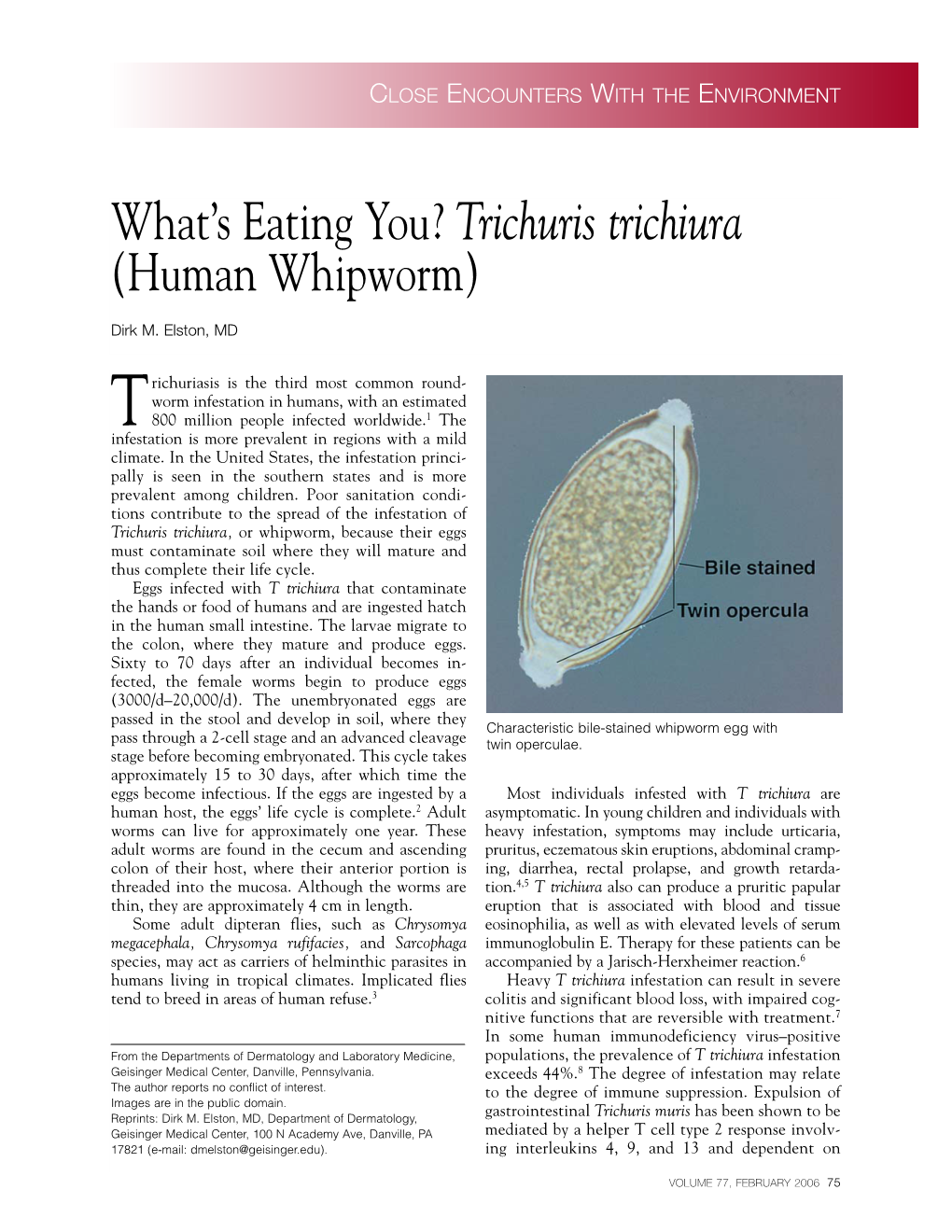 Trichuris Trichiura (Human Whipworm)