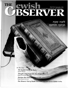 The Historic Visit of Rabbi Stei Es '
