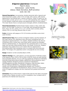 Erigeron Piperianus Cronquist Piper's Daisy Asteraceae - Aster Family Status: State Sensitive, BLM Sensitive Rank: G3 / S3