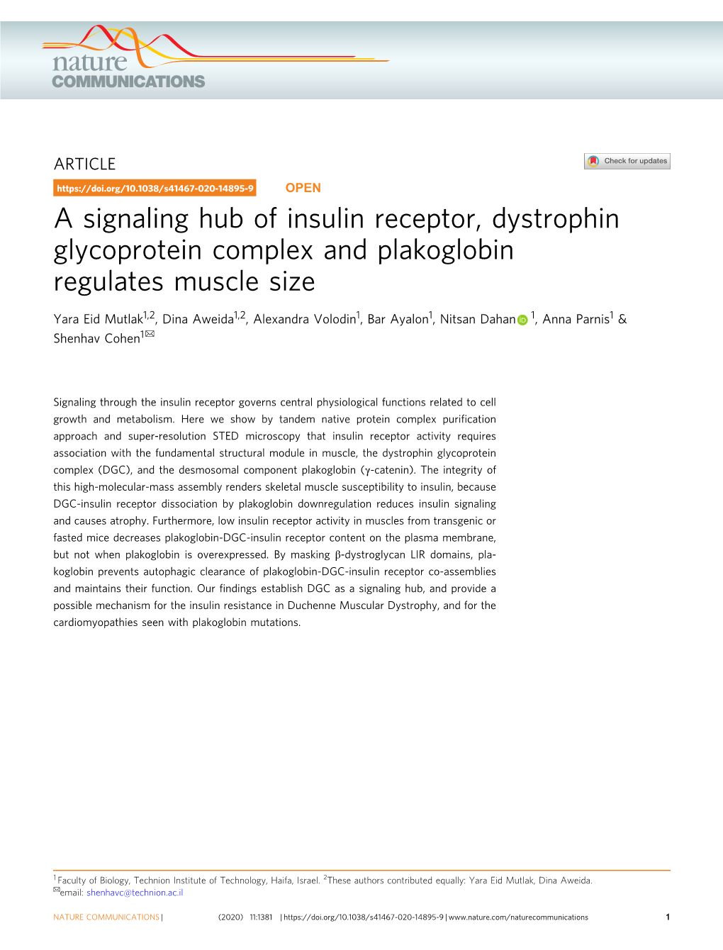 A Signaling Hub of Insulin Receptor, Dystrophin Glycoprotein Complex and Plakoglobin Regulates Muscle Size